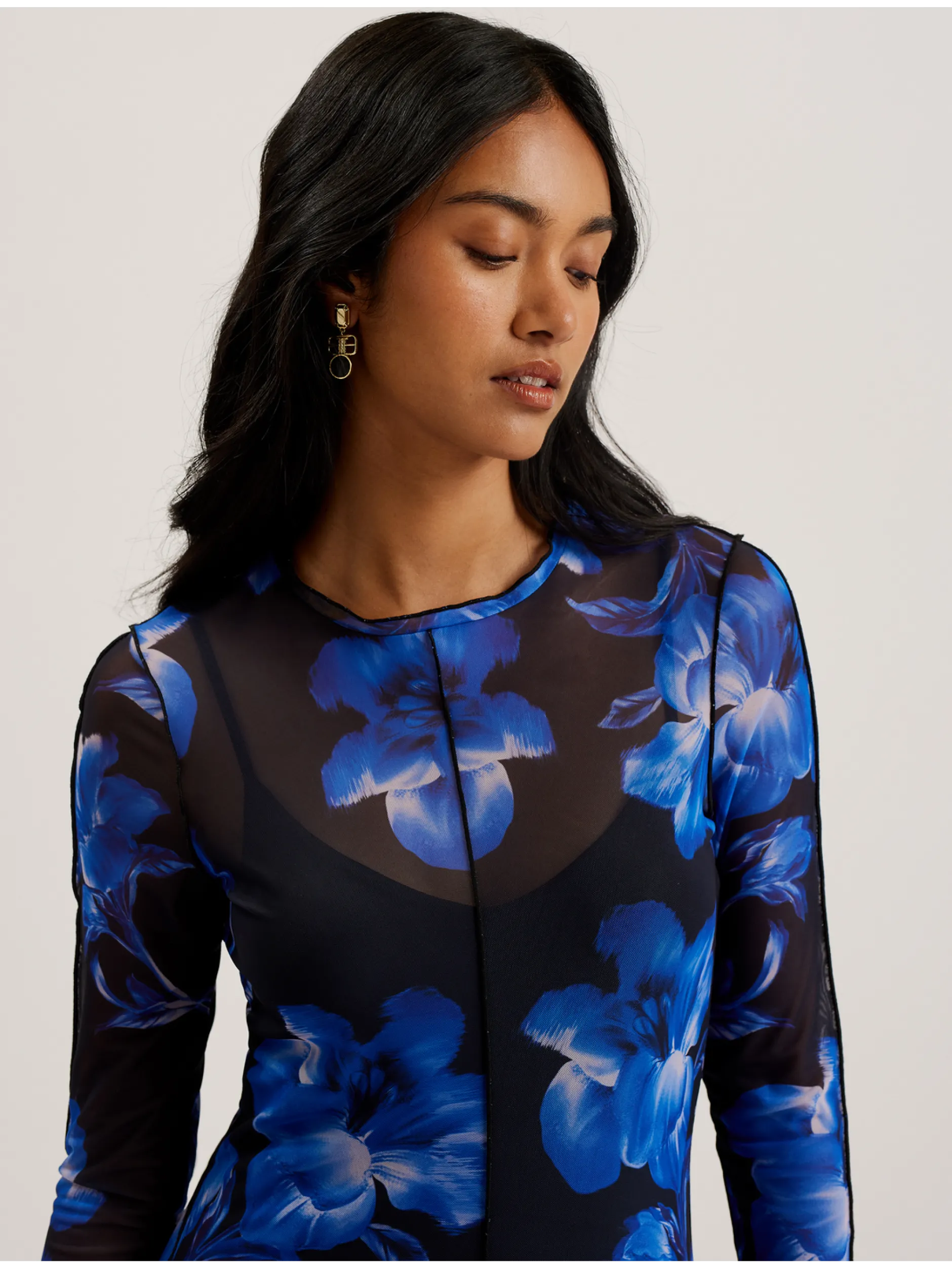Mesh Long Sleeve Printed Dress