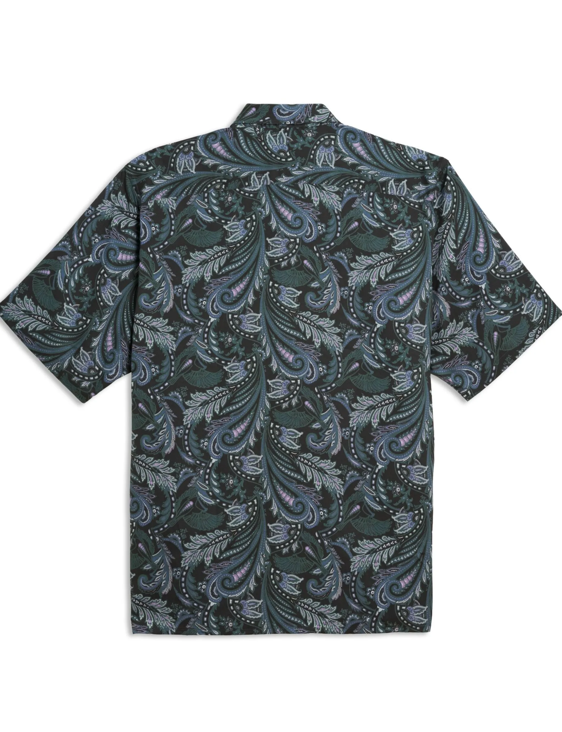 Paisley Shirt