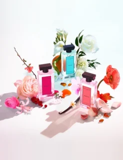 Ted Baker Eau de Toilette 100ml