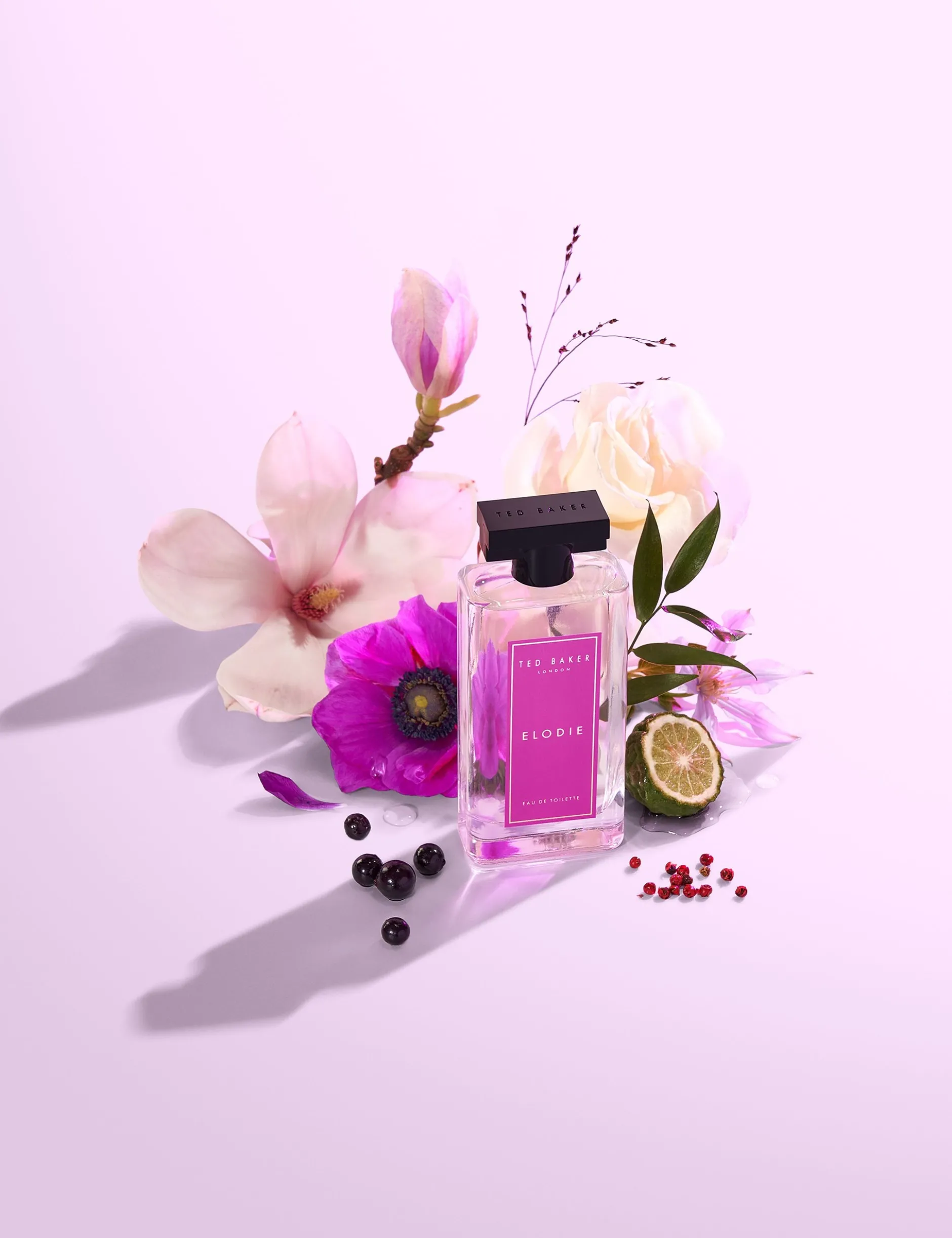 Ted Baker Eau de Toilette 100ml